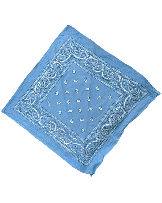 Pale blue paisley vintage neckerchief