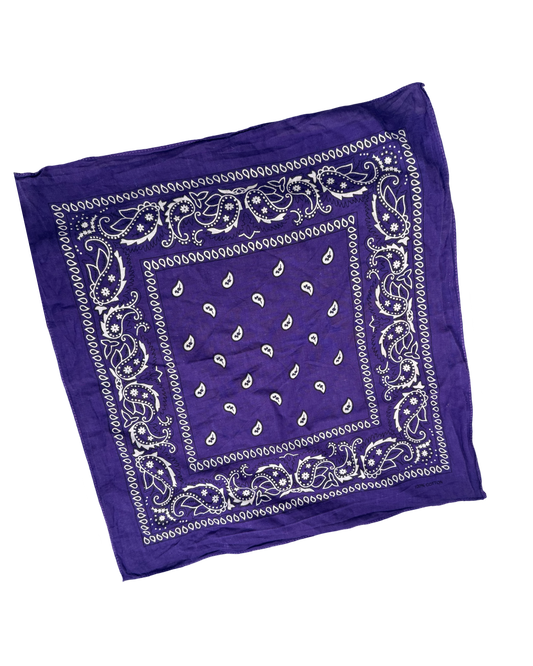 Purple paisley vintage neckerchief