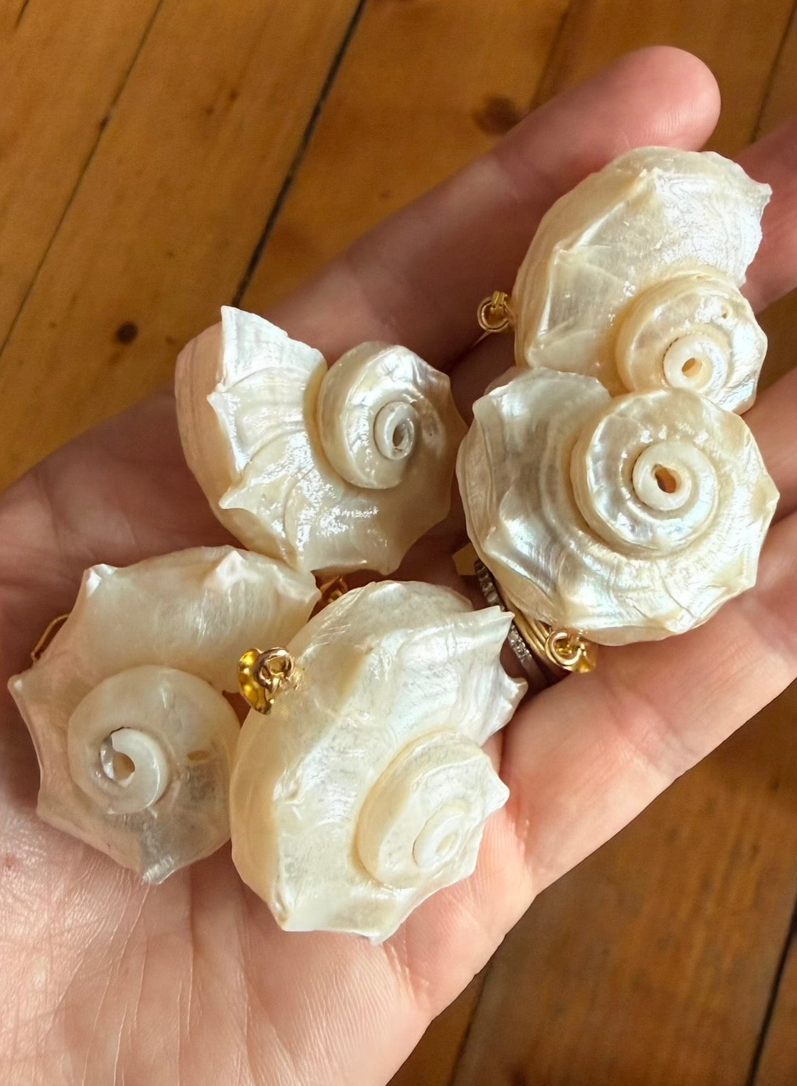 The Coraline shell charm