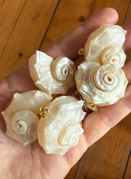 The Coraline shell charm