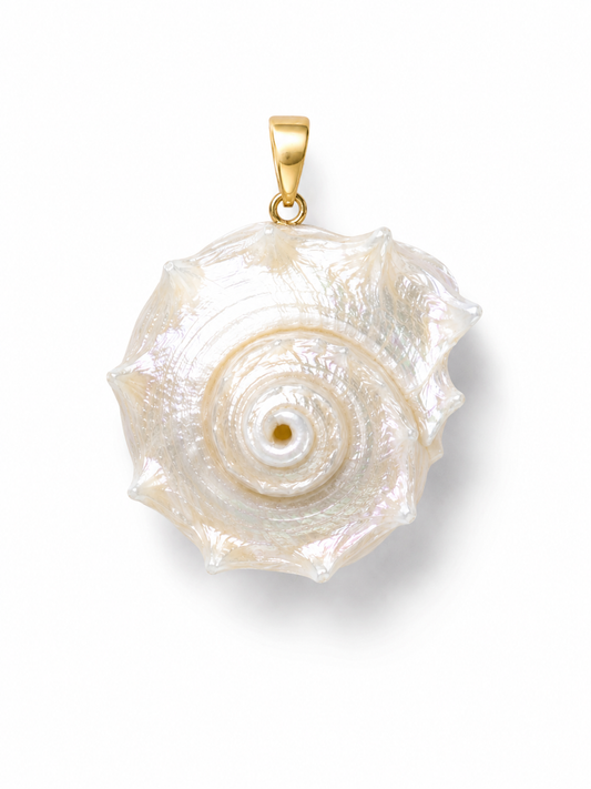 The Coraline shell charm